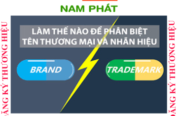 phan biet ten thuong hieu va nhan hieu